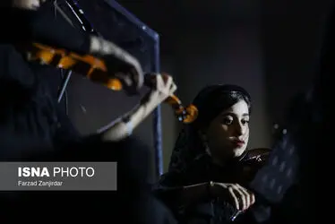 62637915_Farzad-Zanjirdar-9618