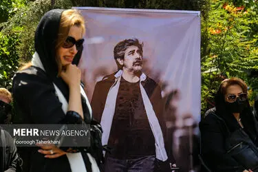 4524271_IMG_4535-photo
