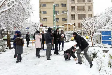 صبح برفی تهران