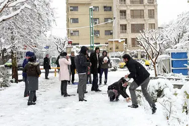 صبح برفی تهران
