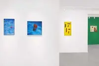 نمایشگاه تصویر به مثابه تصویر آرش احمدی در گالری دوست