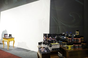 Vesta Color joins “The Sense of Persia” multimedia exhibition