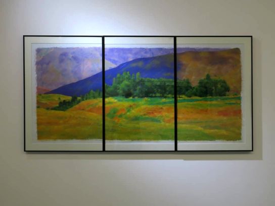 نقاشی های ابراهیم حقیقی در گالری اعتماد