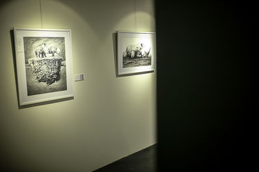 مایشگاه طراحی و نقاشی یحیی رویدل در گالری دیلمان