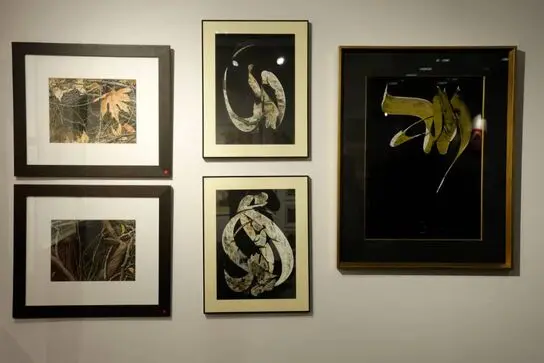 Mojdeh Gallery Tehran Art Fair