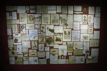 آثار چیدمان دهمین جشنواره تجسمی فجر در موسسه فرهنگی هنری صبا