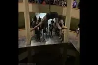 اعتراض انجمن هنرمندان مجسمه ساز ایران نسبت به آسیب حوض روغن نوریکی هاراگوچی در موزه هنرهای معاصر تهران
