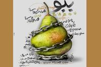 کرونا هم نتوانست جلوی اجرا «ببو» را بگیرد