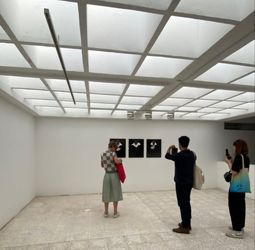 Sharjah Biennial 15 is curated by Hoor Al Qasimi / visit Dr. Sultan bin Muhammad Al-Qasimi