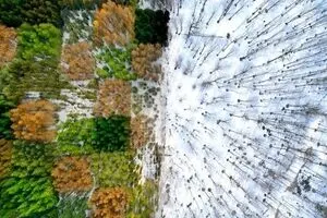 Mohammadreza Masumi wins Greenstorm Global Photography Award