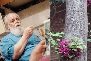ماجرای علاقه شدید هوشنگ ابتهاج به درختی در منزلش/ سایه: ارغوانم آنجاست! ارغوانم تنهاست/ خاطرات یلدا از خانه پدری