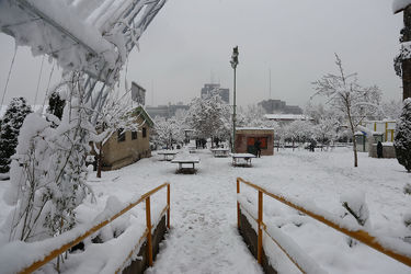 صبح برفی تهران