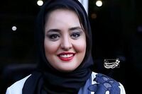 عاشقانه نرگس محمدی و همسرش در آبشار نیاگارا/ عکس