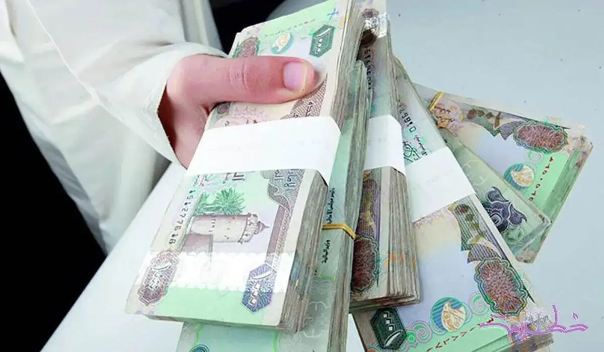 قیمت درهم امارات سقوط کرد / ریزش چشمگیر قیمت درهم امروز یکشنبه ۱۲ بهمن ۱۴۰۴