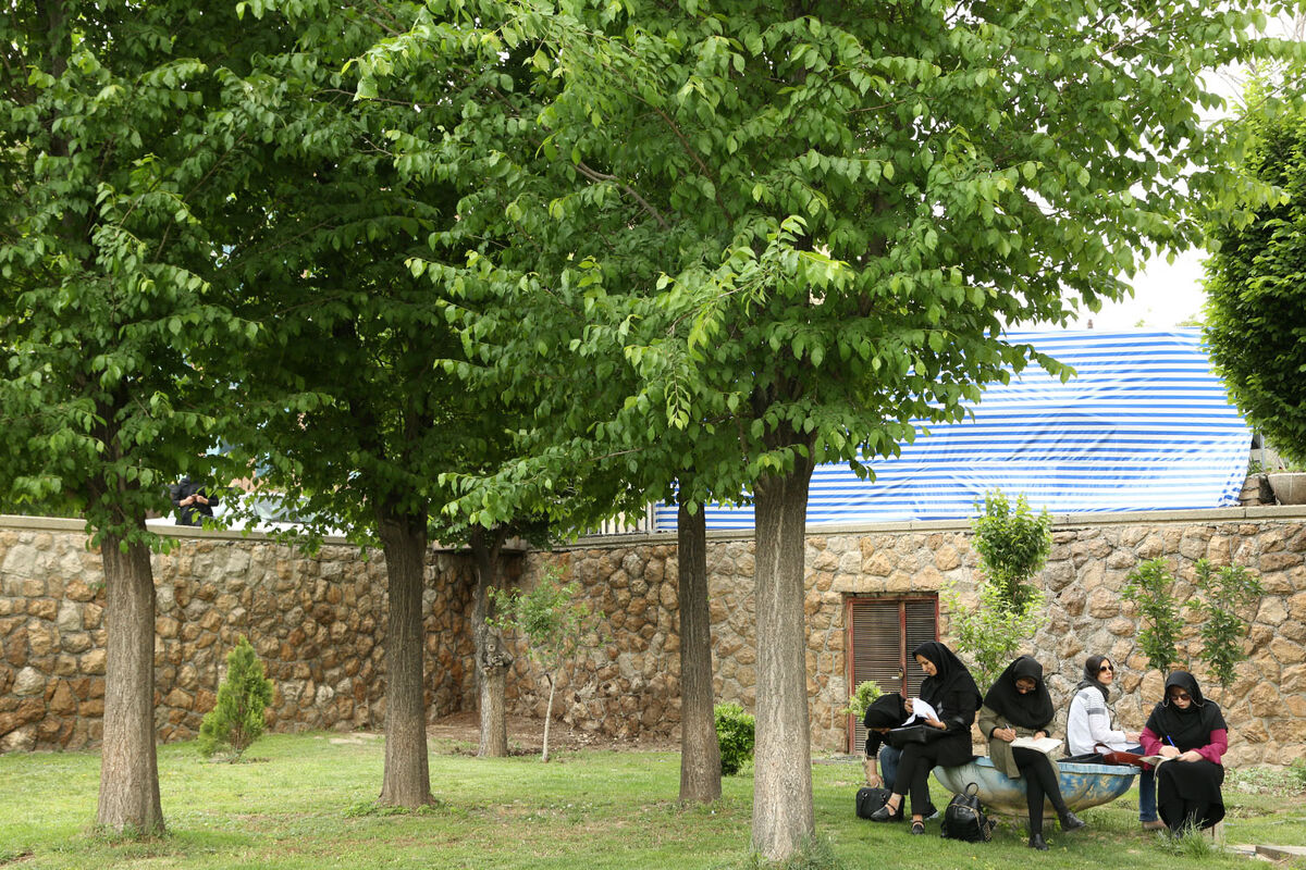 رونمایی از مجسمه ریشه‌ها و سنگ‌ها موزه هنرهای معاصر