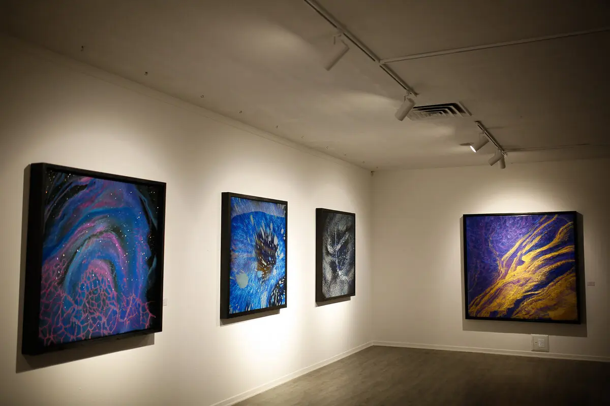 Iman Sobhravan Art Show in Ariana Gallery