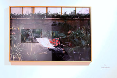 نمایشگاه عکس رئوف دشتی در گالری پروژه های آران