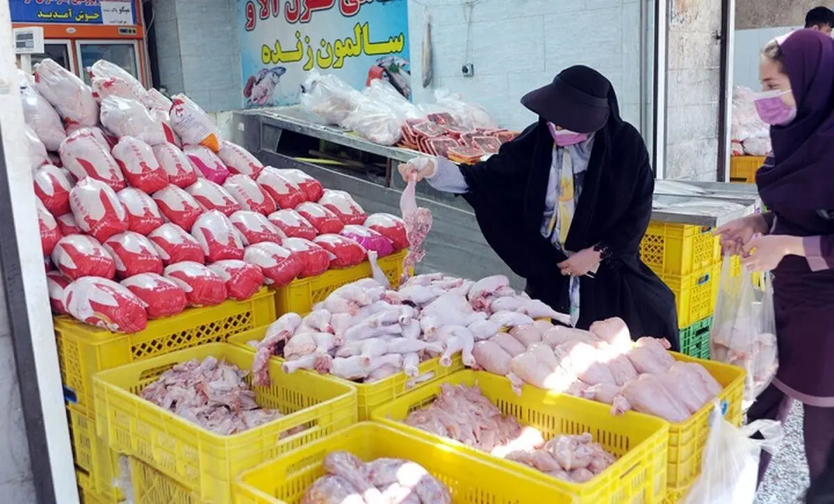 افزایش 300 درصدی قیمت مرغ