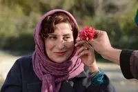ببینید: "بنفشه آفریقایی" فاطمه معتمدآریا با آواز سپتنا