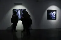 Shirin Gallery Hosts Mohammad Tabatabai Painting Exhibit