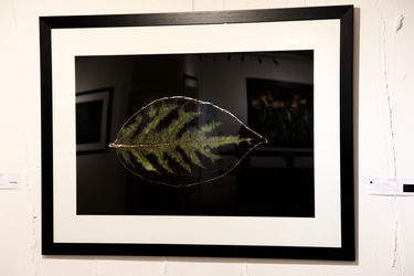 نمایشگاه عکس آرمان مولوی در گالری سیحون 2