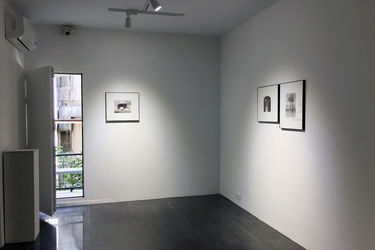 نمایشگاه آثار محمدرضا قربانی در گالری عصر