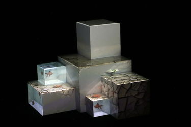 آثار چیدمان دهمین جشنواره تجسمی فجر در موسسه فرهنگی هنری صبا