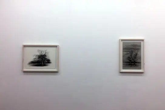 نمایشگاه آثار افسانه مسائلی در گالری اُ