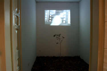 نمایشگاه ویدئوآرت آرزو باغ شیخی در گالری ویستا پلاس