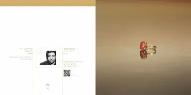 637328666841445486