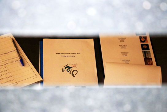 نمایشگاه نقاشی تهمینه میلانی در گالری ایوان