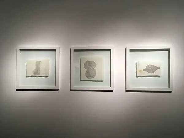 Ali Shayeste (13)