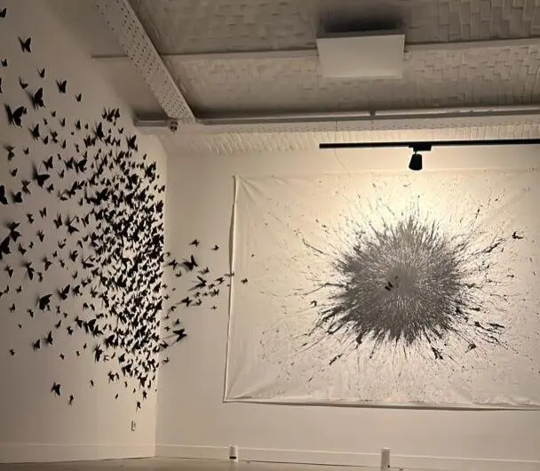 مرجان شکری Marjan Shokri 