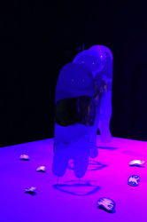 آثار چیدمان دهمین جشنواره تجسمی فجر در موسسه فرهنگی هنری صبا