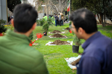 مراسم هفته درختکاری با حضور اصحاب فرهنگ، هنر و رسانه در خانه هنرمندان تهران