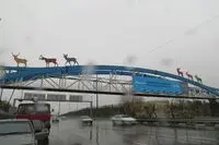 هجوم حیوانات وحشی به پل‌های عابر پیاده تهران در فصل بهار / عکس