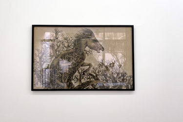 نمایشگاه طراحی انسیه اکبرزاده در گالری اُ 