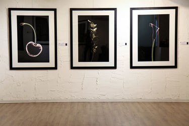 نمایشگاه عکس آرمان مولوی در گالری سیحون 2