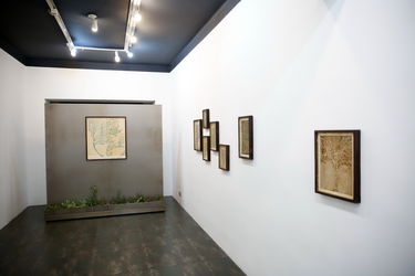 نمایشگاه نقاشی‌های امیر کبیرنژاد با عنوان ای درخت معرفت در گالری آریا