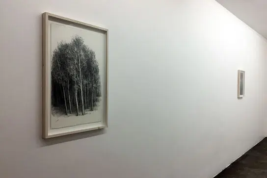 نمایشگاه آثار افسانه مسائلی در گالری اُ