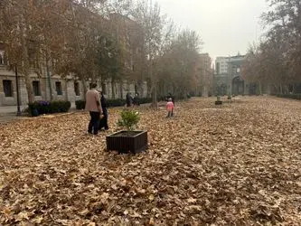 پنجمین دوره رویداد هنری «پاییز_برگ» در میدان مشق