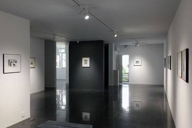 نمایشگاه آثار محمدرضا قربانی در گالری عصر