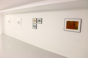 نمایشگاه گروهی "باغ همیشه خزان" در گالری والی