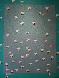 Lana khayat in Xva Gallery 