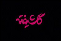 اولین‌ویدیو از گلشیفته در یزد!