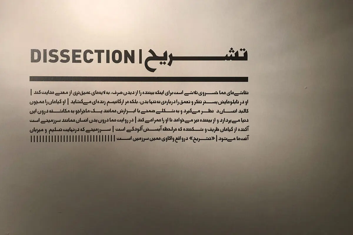 نمایشگاه نقاشی هما خسروی در گالری طراحان آزاد