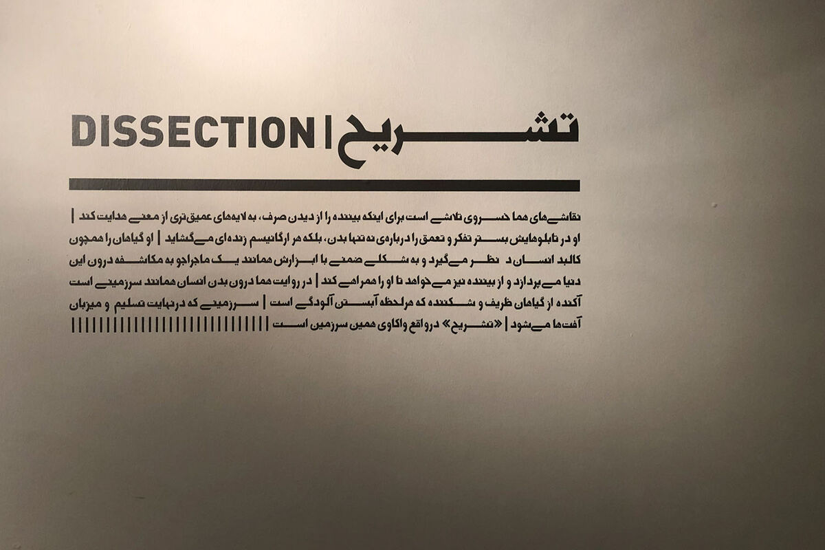 نمایشگاه نقاشی هما خسروی در گالری طراحان آزاد