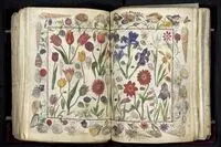 کتابی که به قیمت ۶۰ میلیارد خریداری شد