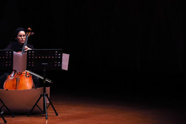 دومین فستیوال بین المللی موسیقی معاصر تهران/آنسامبل نیواک