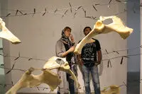ببینید: نمایش استخوان‌های واقعی در یک نمایشگاه هنری